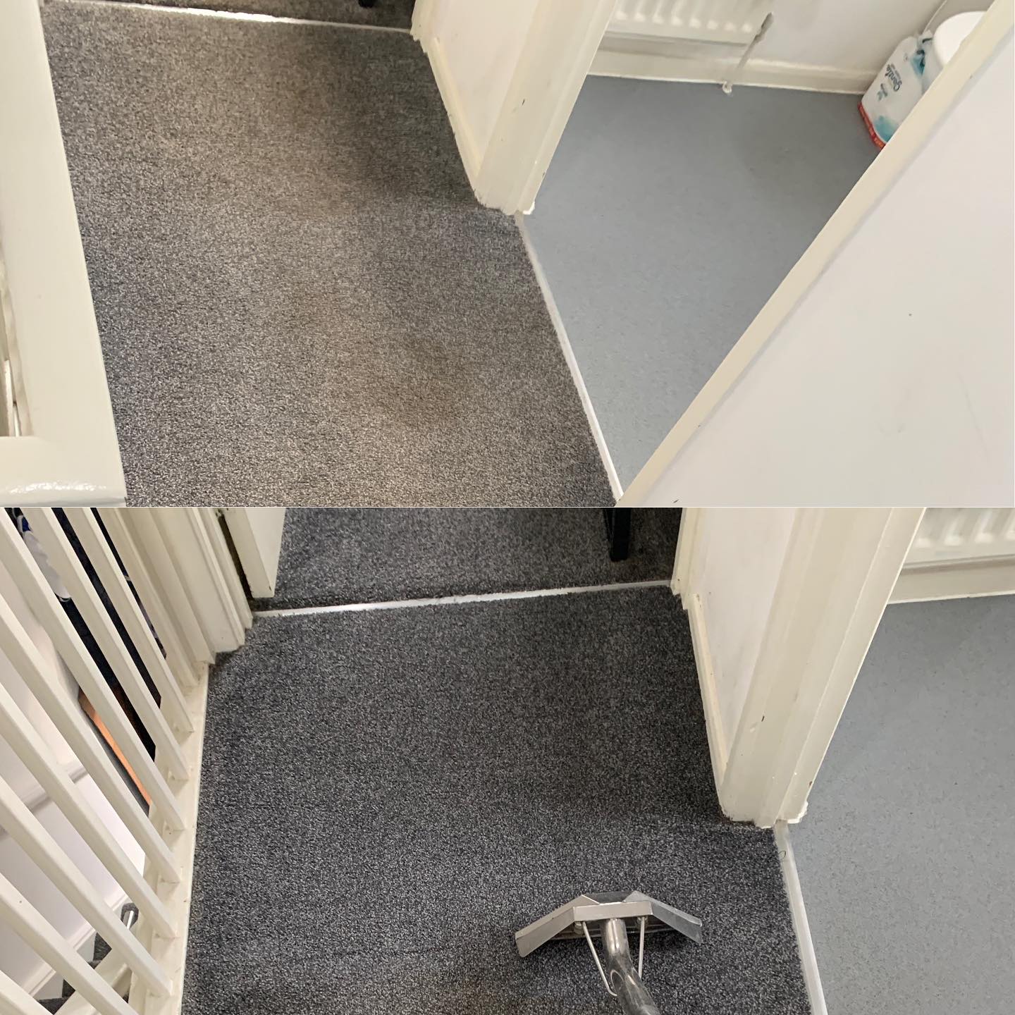 Pet carpet cleaning in Milton Keynes removing odours